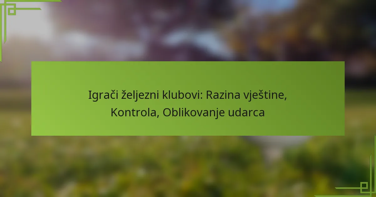 Igrači željezni klubovi: Razina vještine, Kontrola, Oblikovanje udarca