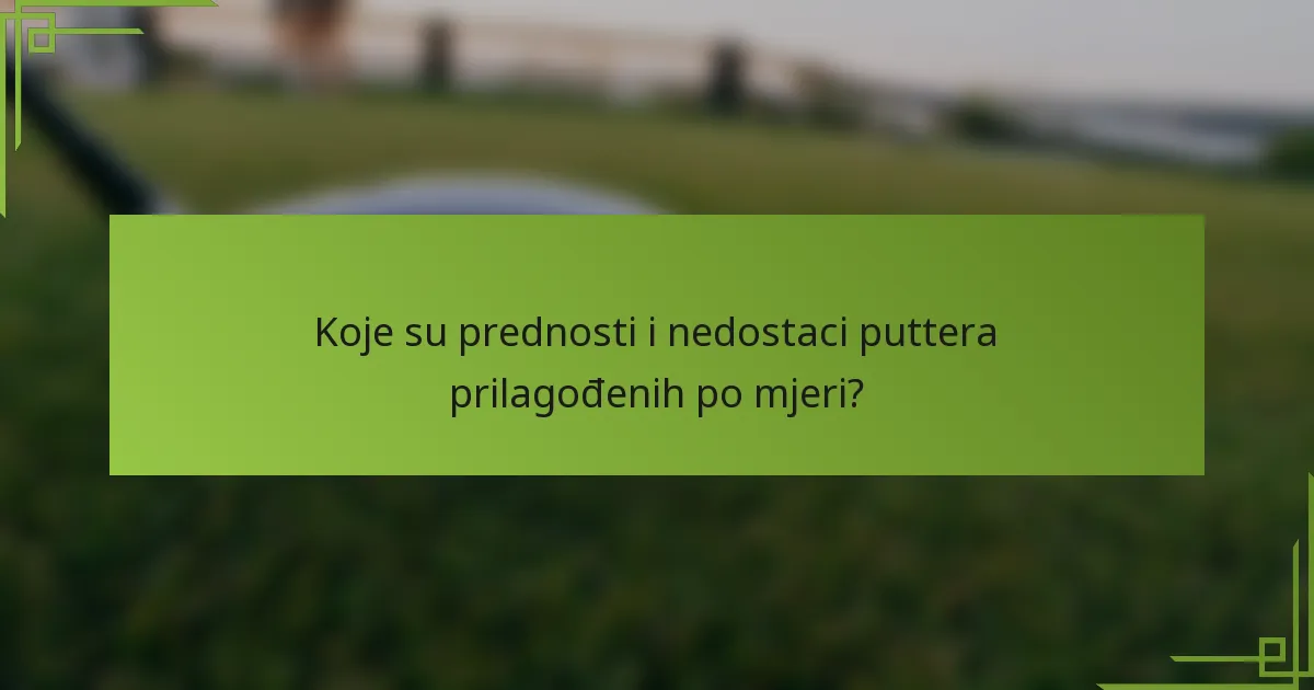 Koje su prednosti i nedostaci puttera prilagođenih po mjeri?