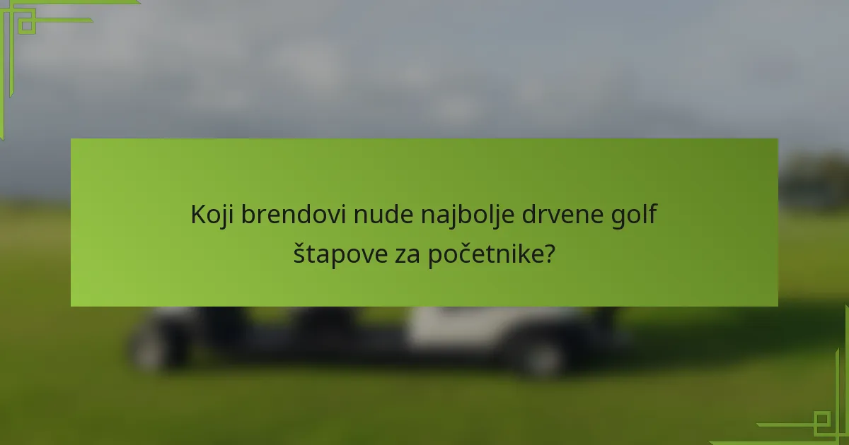 Koji brendovi nude najbolje drvene golf štapove za početnike?